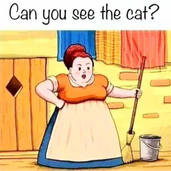 Balkan odlepio za ovom optičkom iluzijom: Satima gledaju u sliku i ne mogu da pronađu mačku, možete li vi? (VIDEO)