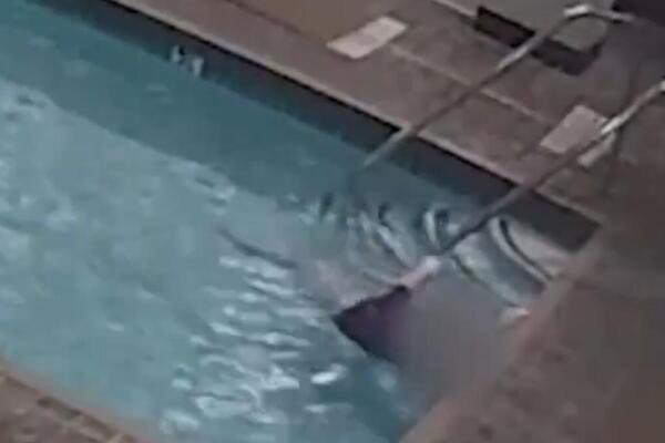 Horor u Grčkoj: Udavilo se dete (6), bilo na odmoru sa roditeljima