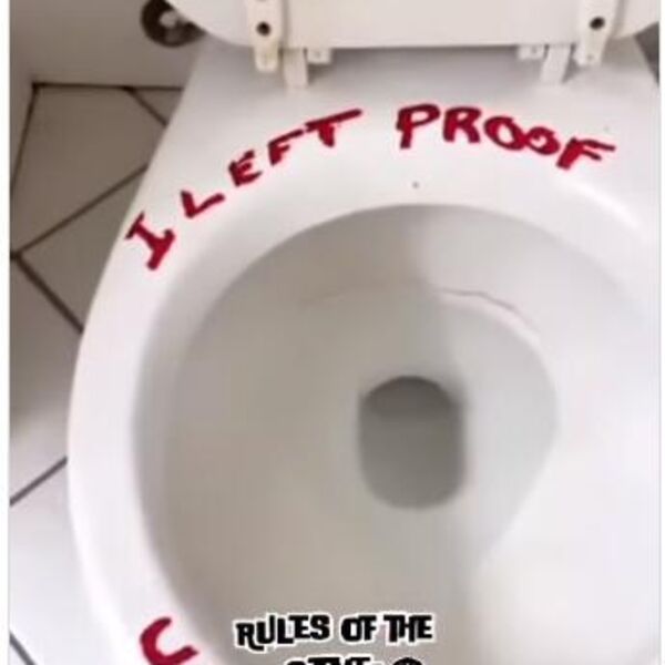 UŠAO U TOALET, POGLEDAO U WC ŠOLJU I SAZNAO DA GA ŽENA VARA: Muškarac na šokantan način otkrio užasnu istinu VIDEO