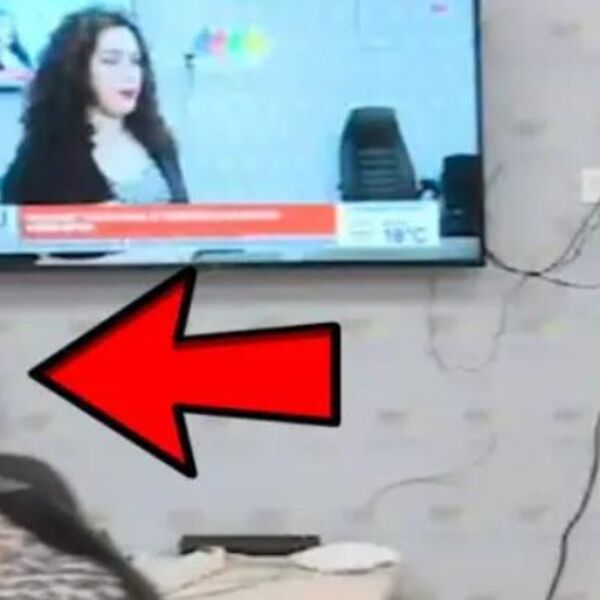 Crnogorska voditeljka je pričala i sve se činilo uredu: Odjednom joj je pozlilo, kamere zabeležile strašnu scenu