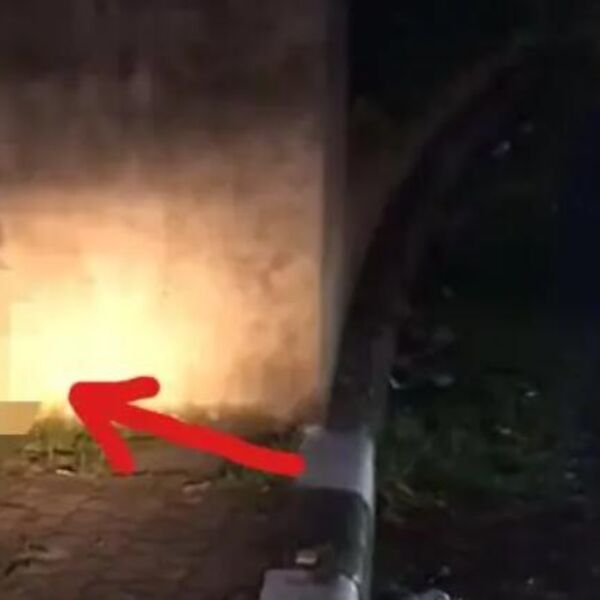 Joj, sreća mala, slatka: Izbacili su psa iz auta u pokretu, a kad mu je ona prišla, počeo je da zapomaže (VIDEO)