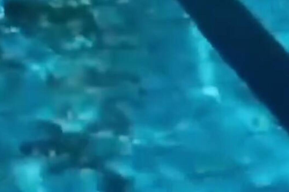 Dečak (3) umro u bazenu u sportskom centru, smrti prethodila drama: Tragedija na jugu Italije