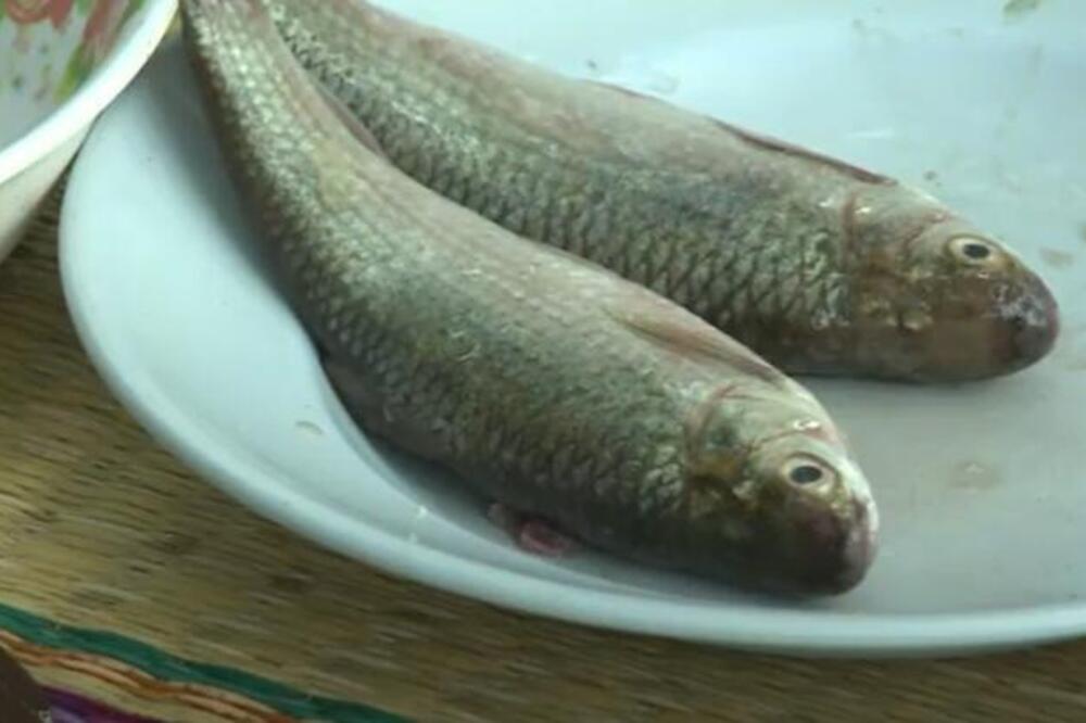 Ova riba se smatra najčistijom za Svetog Nikolu: Prvi je izbor po Bibliji, obavezno je kupite