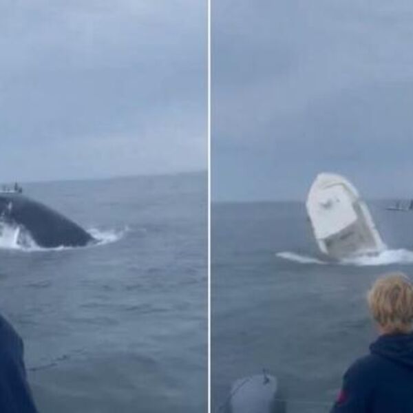 Jao, šta je ovo? Tek kasnije su otkrili šta su držali u rukama, biće vas sramota kad vidite o čemu je reč