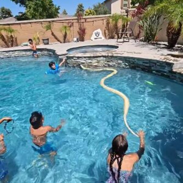Ogroman piton upao u bazen u kome su se deca kupala: Ljudi se skamenili kada su videli kako gmiže oko njih (VIDEO)