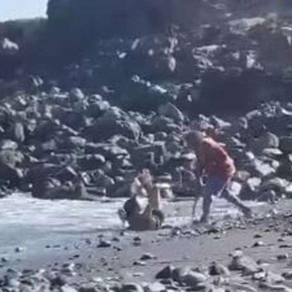 Pogledajte kako muškarac tuče lopova na mrtvo ime: Snimak za drhtavicu, da je uzeo nešto jače, UBIO bi ga (VIDEO)