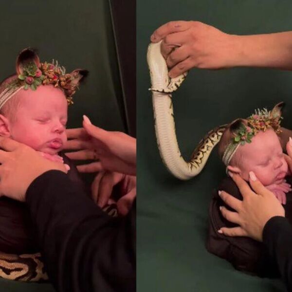 STAVILI BEBI OKO VRATA ZMIJU SAMO DA BI JE SLIKALI ZA POPULARAN TREND: Svi se pitaju da li su roditelji normalni?