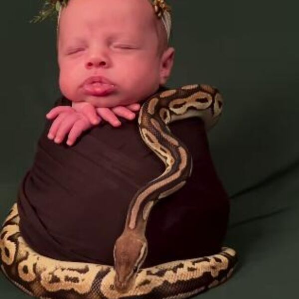 Stavili novorođenoj bebi zmiju oko vrata, njena reakcija obišla svet uzduž i popreko: Ljudi besne i ne veruju VIDEO