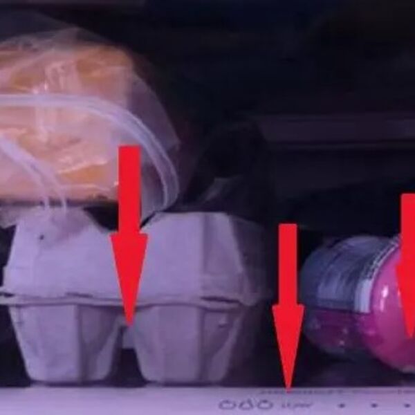 Otvorila je frižider i pogledala dole: Kad je videla poslednju pregradu sledila se u mestu od prizora - horor