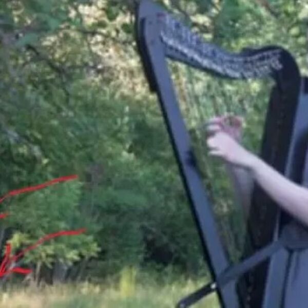 Devojka je usred šume svirala harfu: Čula je krckanje koraka, a kad se okrenula - imala je šta da vidi (VIDEO)