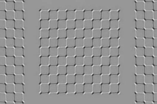 Samo 3 odsto ljudi na svetu zna tačan odgovor na ovo pitanje: Šta se tačno pomera na slici, dobro pogledajte