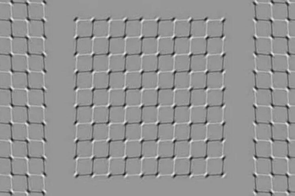 Samo 3 odsto ljudi na svetu zna tačan odgovor na ovo pitanje: Šta se tačno pomera na slici, dobro pogledajte