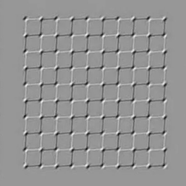 Samo 3 odsto ljudi na svetu zna tačan odgovor na ovo pitanje: Šta se tačno pomera na slici, dobro pogledajte