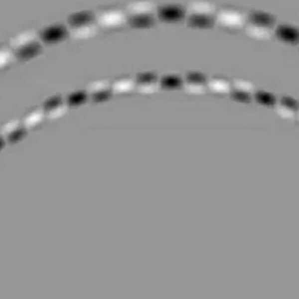 Većina ljudi ne može da vidi šta je na ovoj slici: Proverite zašto se vode velike svađe oko ove optičke iluzije