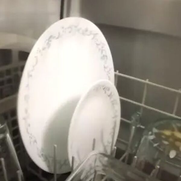 Stavio je kameru u mašinu za pranje sudova: Kada je pregledao snimak, nije mogao da veruje svojim očima (VIDEO)