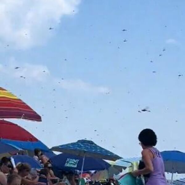 Snimak jezivog prizora sa plaže zaprepastio ljude: Samo se spustio 'crni oblak' i čula se vriska dece... (VIDEO)