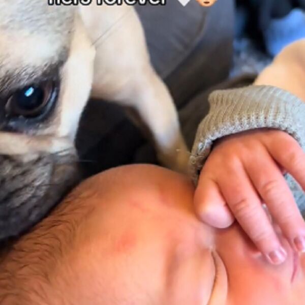 VIRALNA PRIČA O PRIJATELJSTVU KOJA TERA SUZE NA OČI: Plakaćete tri dana kad vidite kako se ovi mališani vole