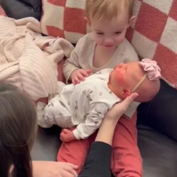 TRENUTAK KADA JE DEVOJČICA PO PRVI PUT UPOZNALA MLAĐU SESTRU: Plakanje od smeha, pa ovo je nešto najslađe