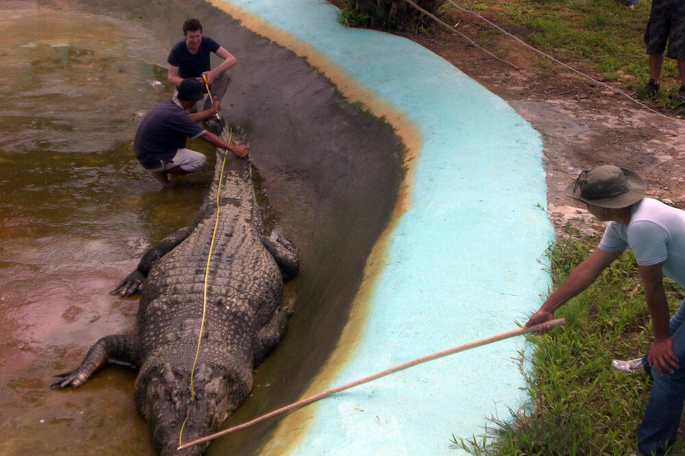Čuveni zoolog osuđen zbog seksualnog zlostavljanja pasa: Nacija zaprepašćena gadostima koje je radio i pričao!