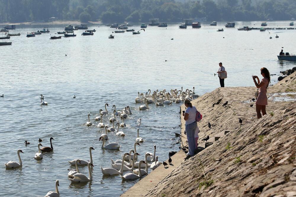 Evo šta će se dešavati u Zemunu od 2. do 8. juna!