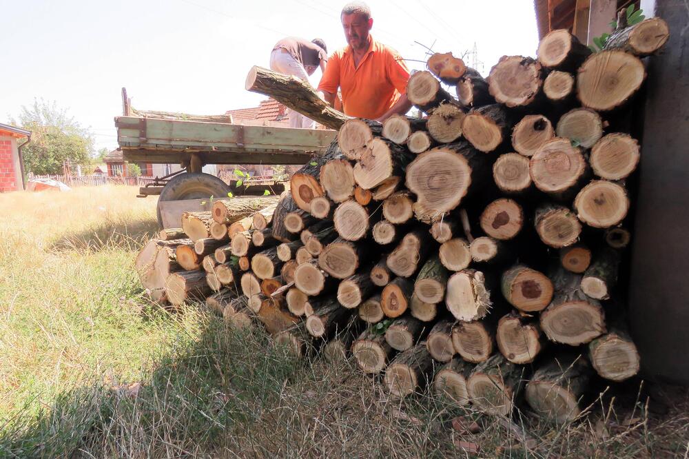 Ovo drvo za ogrev gori najduže: Stručnjak otkrio najisplativiji način grejanja, daje više toplote, sporije se troši