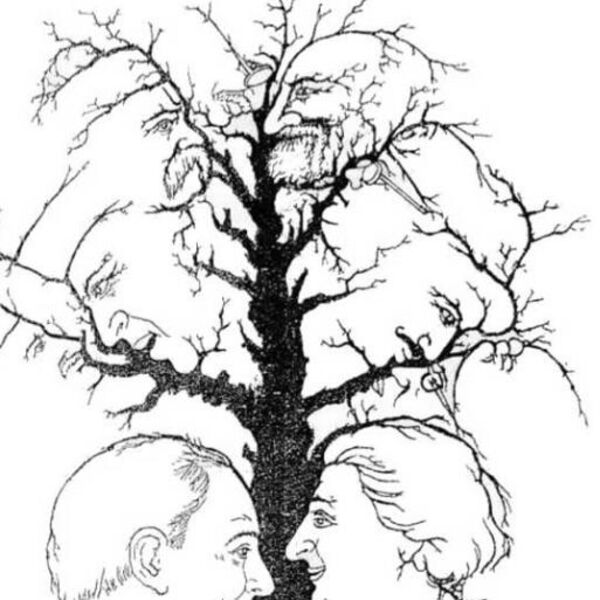 Koliko lica možete da vidite na slici? Ova mozgalica najpreciznije otkriva koliko vam je dobro pamćenje (FOTO)