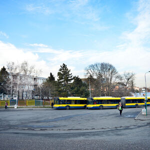 JEDAN UDARAO METALNOM ŠIPKOM, DRUGI MU ZARIO NOŽ KOJIM LJUŠTI JABUKU U GRUDI: Ovo je UZROK obračuna vozača autobusa