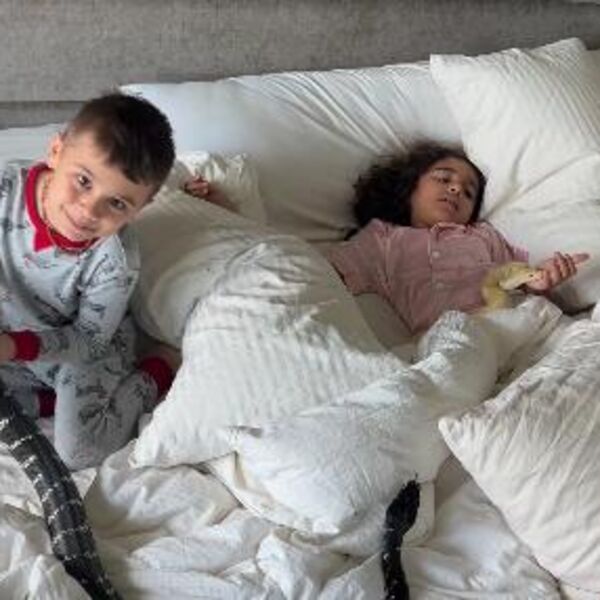 Strašan snimak na kome se deca valjaju sa opasnim pitonima ledi krv u žilama: Roditelji ih snimali, a oni...(VIDEO)