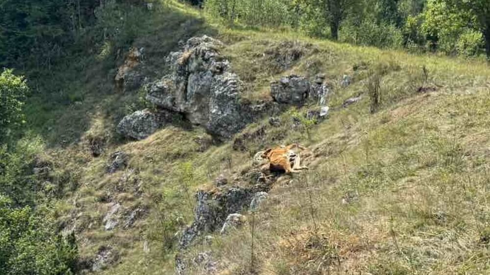 Pešterska visoravan