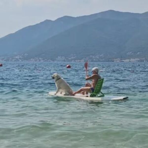 E, ovo je uživanje! Deka seo na dasku za surf, pa poveo i najboljeg druga - neverovatan prizor iz Tivta (VIDEO)
