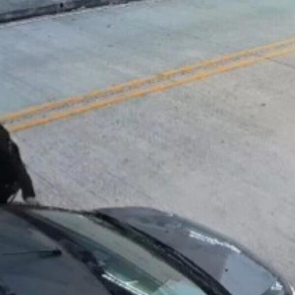 Na vaše oči ukrašće vam kola, a nećete moći ništa: Vozači u Srbiji sve su više meta ovakim lopovima, pazite se