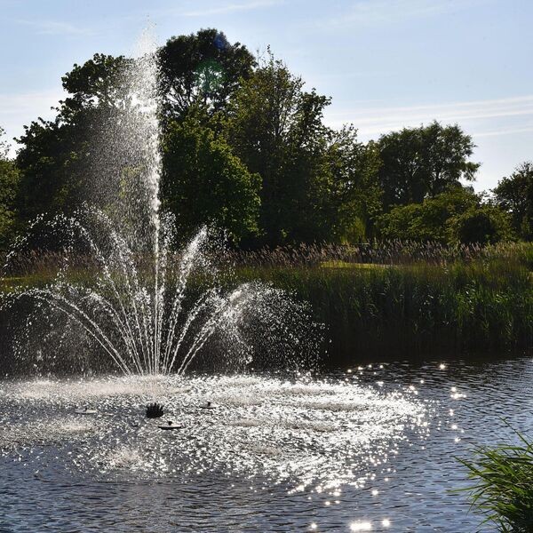 FONTANA KAO SAVRŠENA DEKORACIJA: Uživajte u svojoj bašti ili dvorištu!