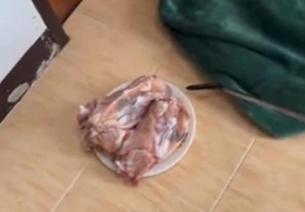 OVA NAMIRNICA RAZARA JETRU, A SRBI JE JEDU KAO DA JE POSLEDNJA NA SVETU: Niste ni svesni šta RADITE svom ZDRAVLJU