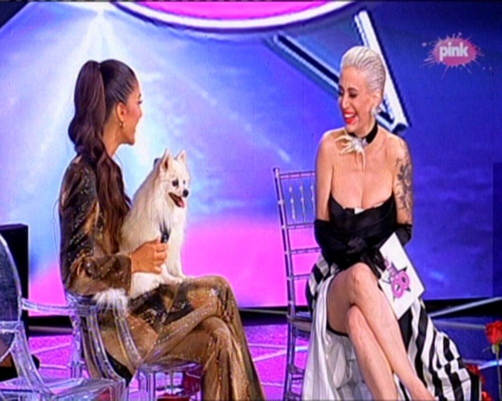 Anđela Đuričić, Elita 8