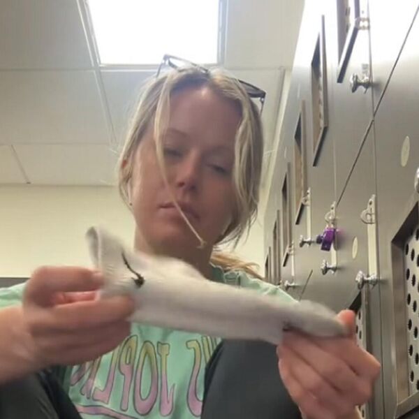 Ova devojka je razvila ozbiljan biznis prodavajući smrdljive čarape: Skine ih, pomiriše, stavi u kesu pa uradi ovo