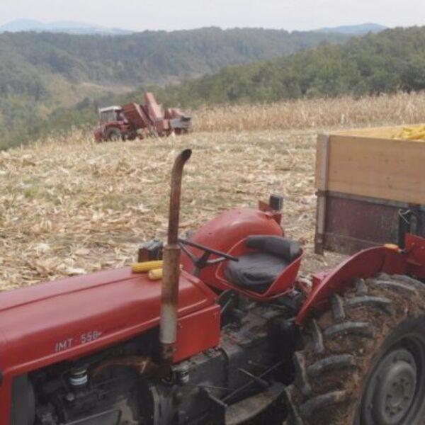 Novčana podrška od 10.000 evra za jednu grupu ljudi u Srbiji: Prijave traju još samo dva dana