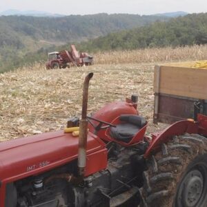 Novčana podrška od 10.000 evra za jednu grupu ljudi u Srbiji: Prijave traju još samo dva dana