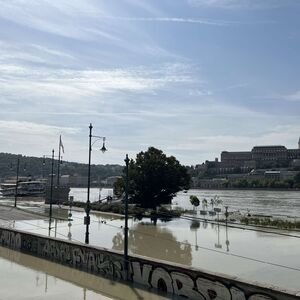 Tragedija na izborima u Mađarskoj!