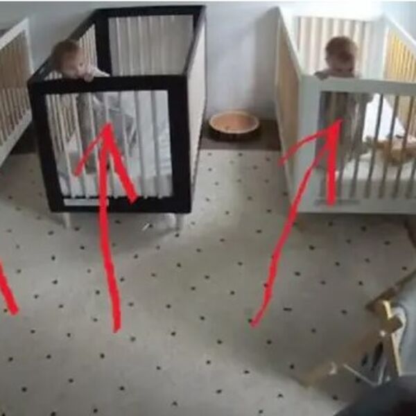 Kada ovim trojkama tata pusti pesmu, one urade nešto neodoljivo: Preslatki snimak širi se mrežama (VIDEO)