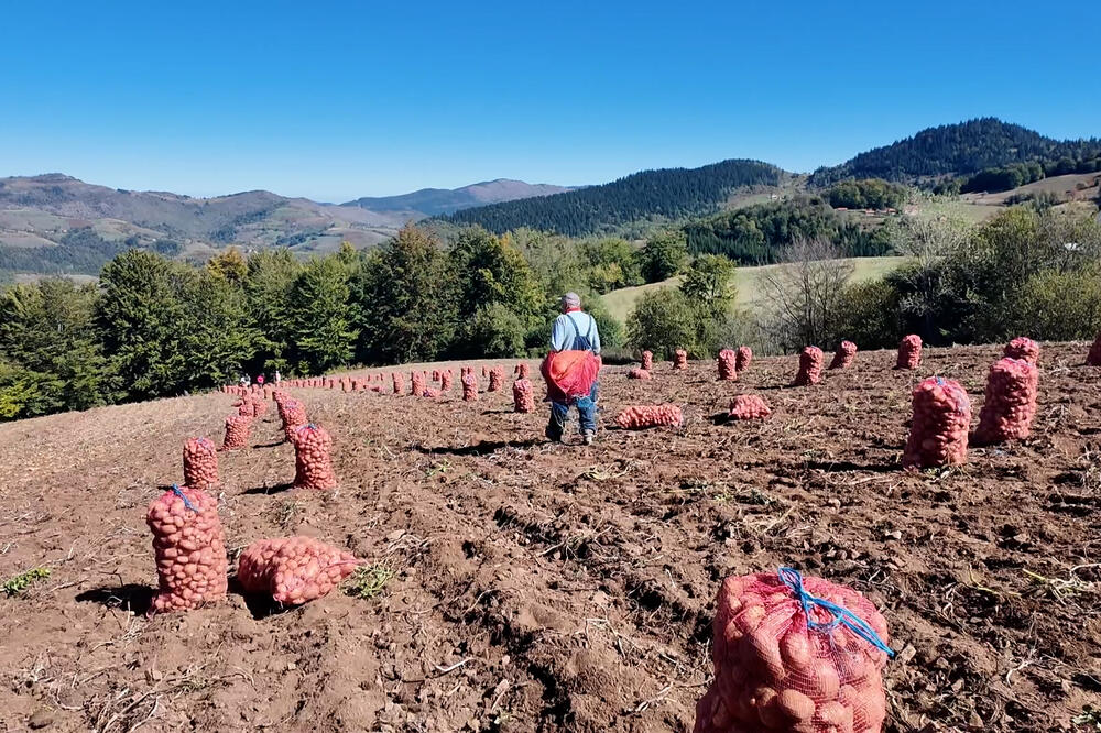 Bez njega ne može da se zamisli ručak, u ovaj kraj su ga doneli kaluđeri: Ima značajno mesto u ishrani