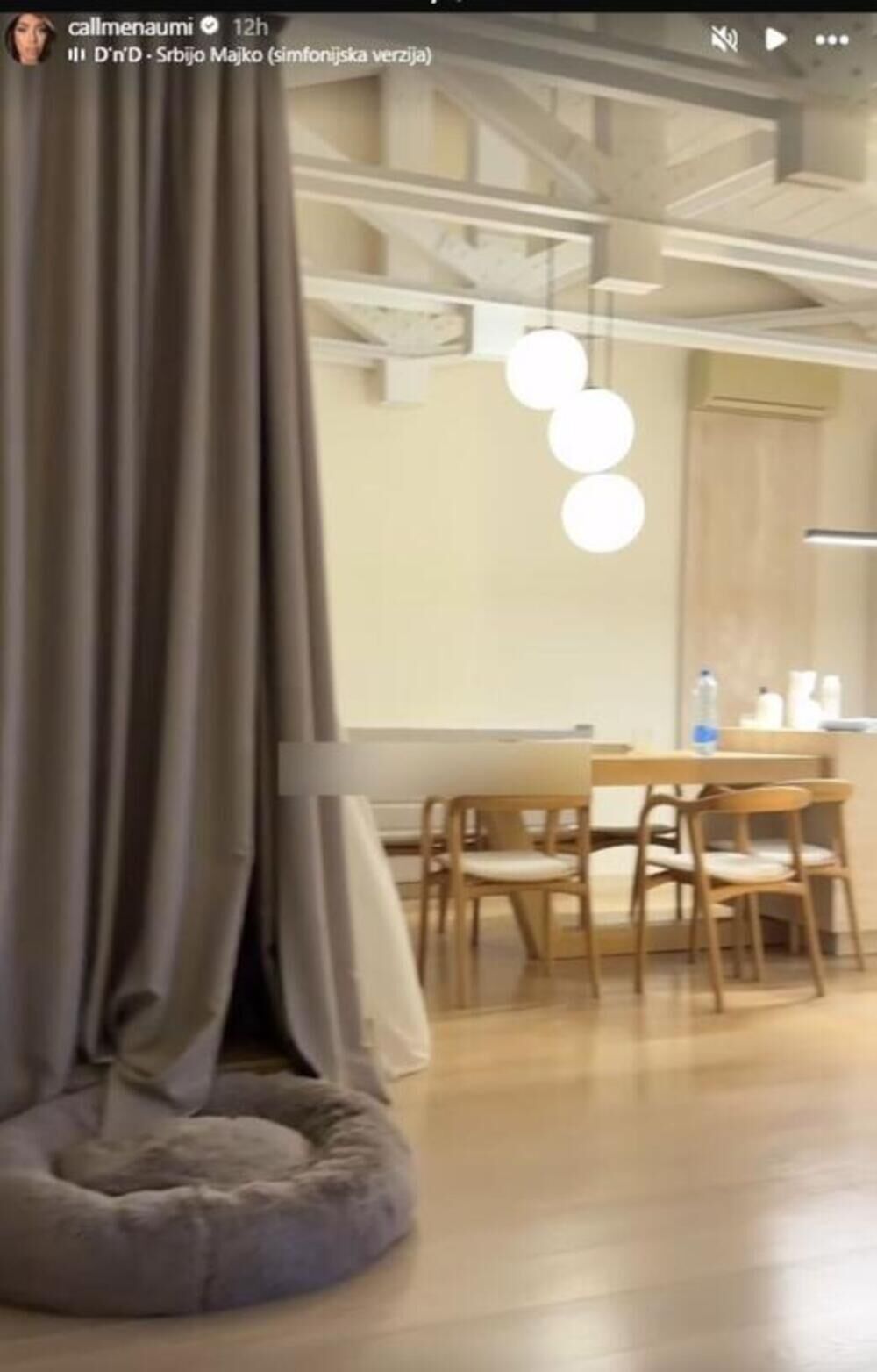 Ognjen Amidžić, Mina Naumović