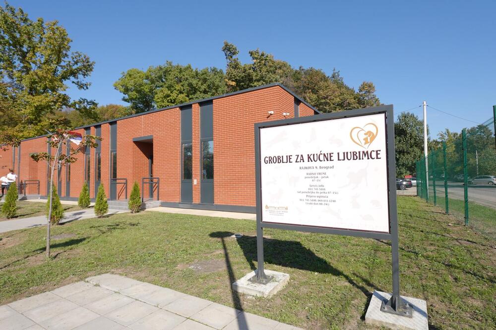 "Manje izađe za čoveka..." Srpkinja otkrila koliko iznesu troškovi sahrane kućnih ljubimaca! Cifra je pozamašna!