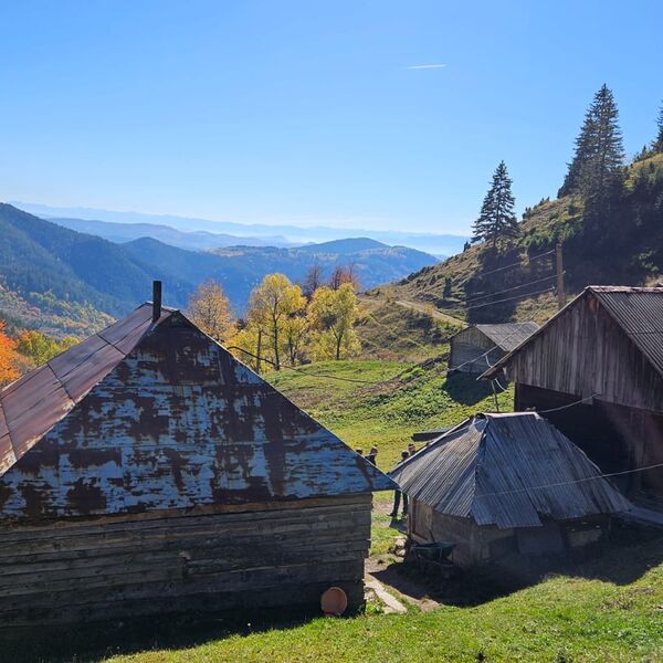 Ovo niko ni lud ne bi propustio: Kuća na prodaju za samo 117 dinara, ali ima jedna caka, nije ništa strašno!