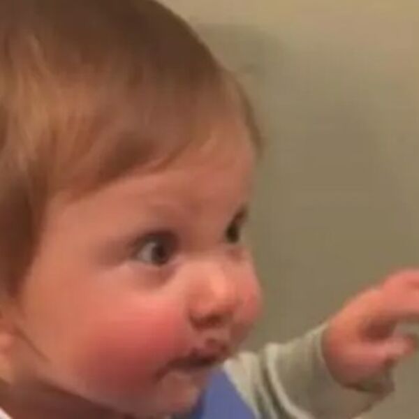 Bebac je prvi put probao čokoladu: Njegova reakcija popraviće vam dan (VIDEO)