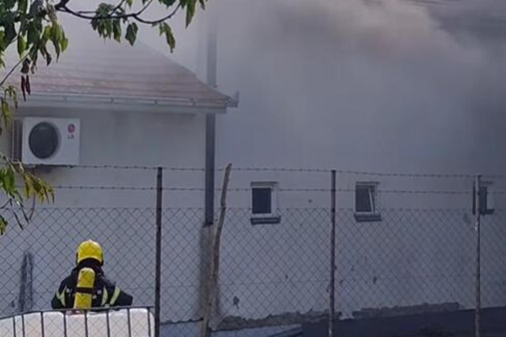 Dva beživotna tela pronađena u kući kod Novog Sada