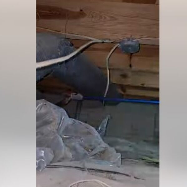 Gledajte snimak na sopstvenu odgovornost: Šok prizor u kući ove porodice će vas naježiti, kako je moguće?