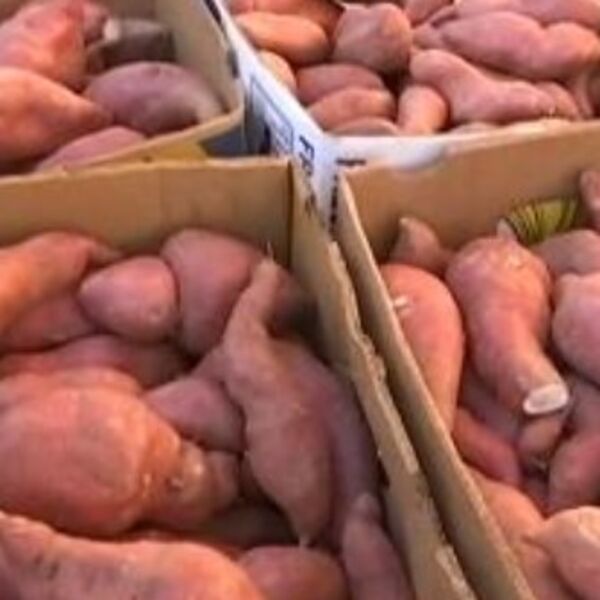 Evo šta će vam se desiti u organizmu ako pojedete samo 1 batat!