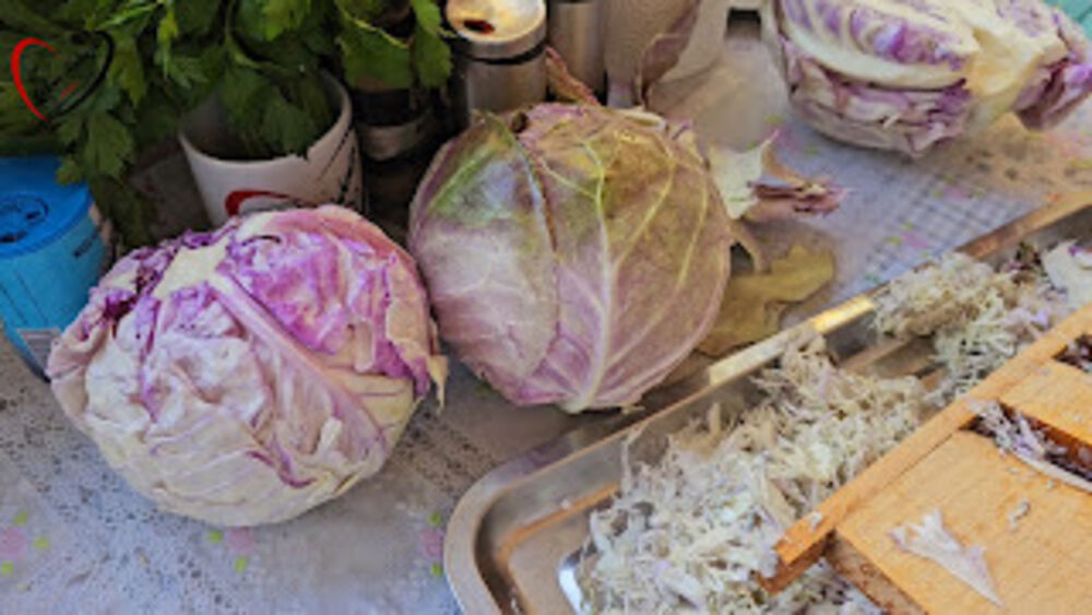 Kiseli kupus, Kiseljenje kupusa