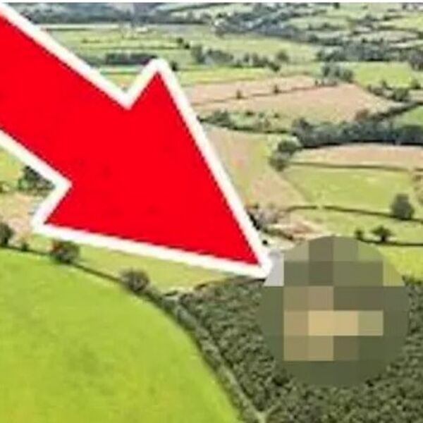 Žena mu je umrla, a on je posadio šumu u njenu čast: Tek godinama kasnije isplivala je njegova tajna (VIDEO)