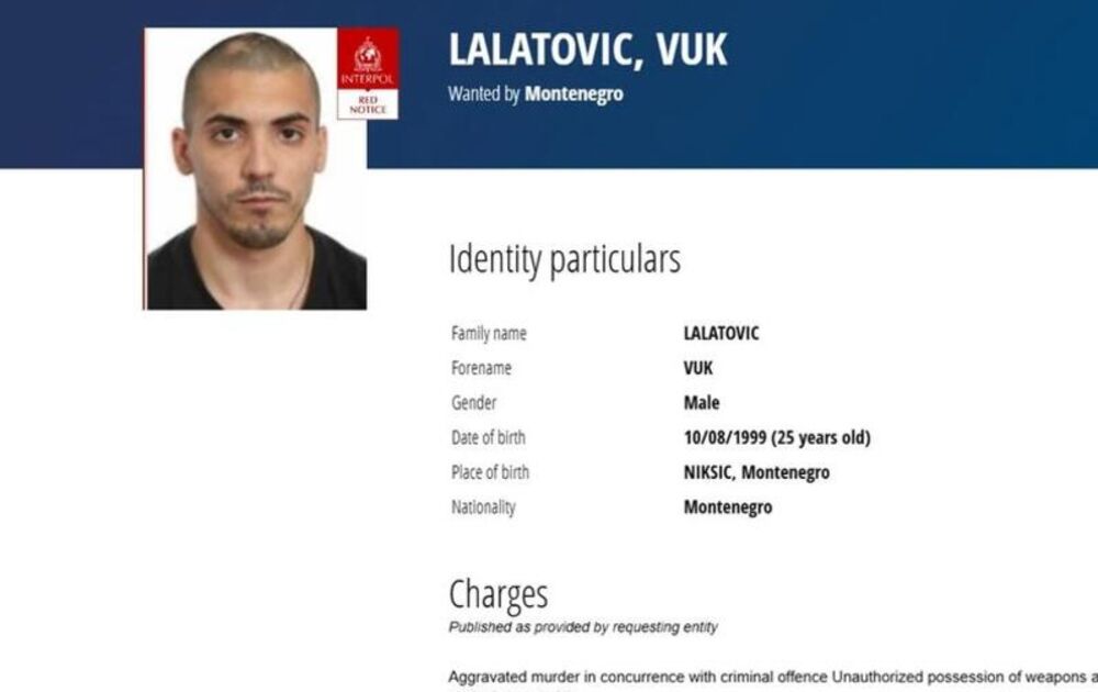 Vuk Lalatović